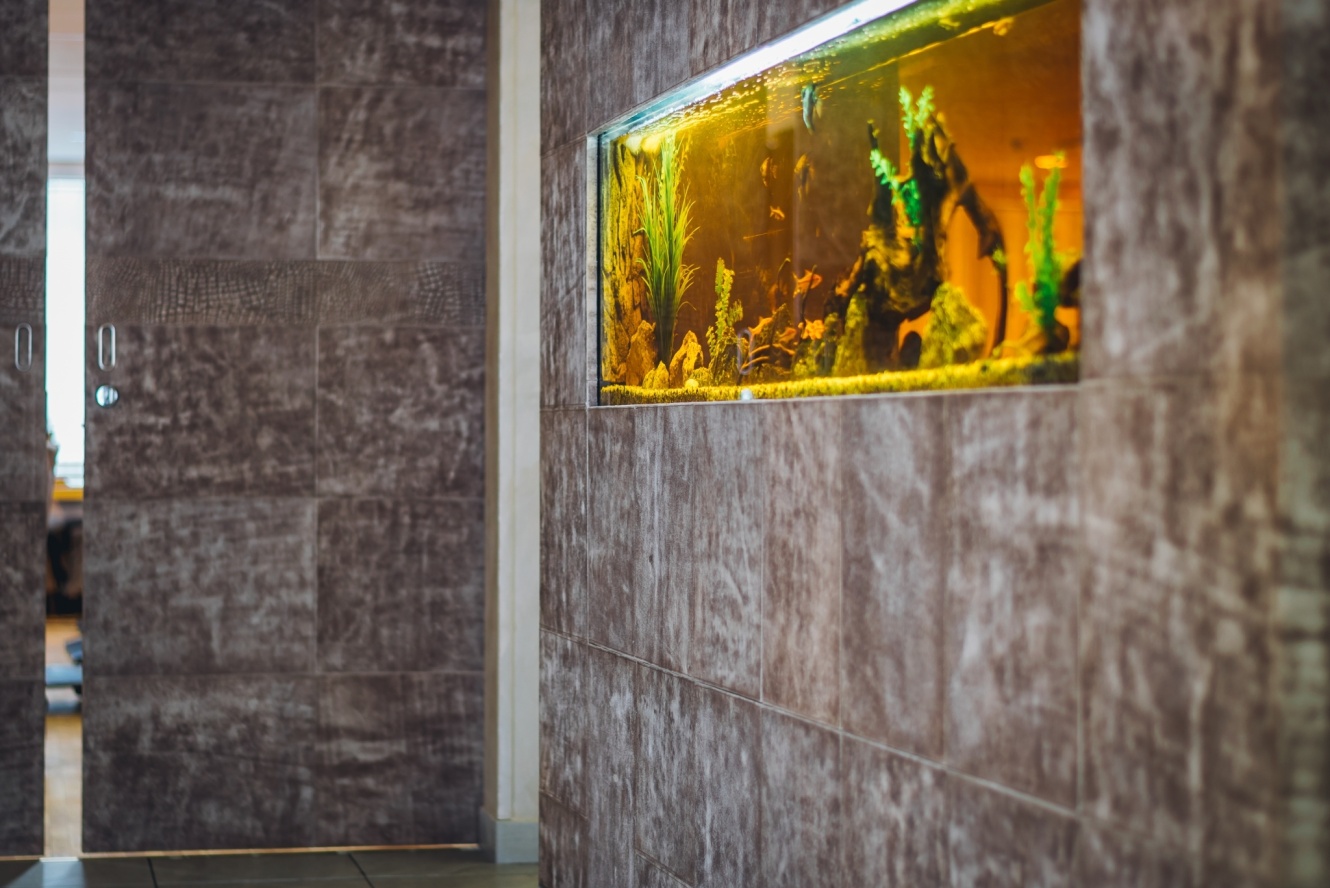 Viimsi SPA hotell