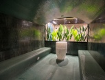 Ring spa