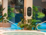 Ring spa